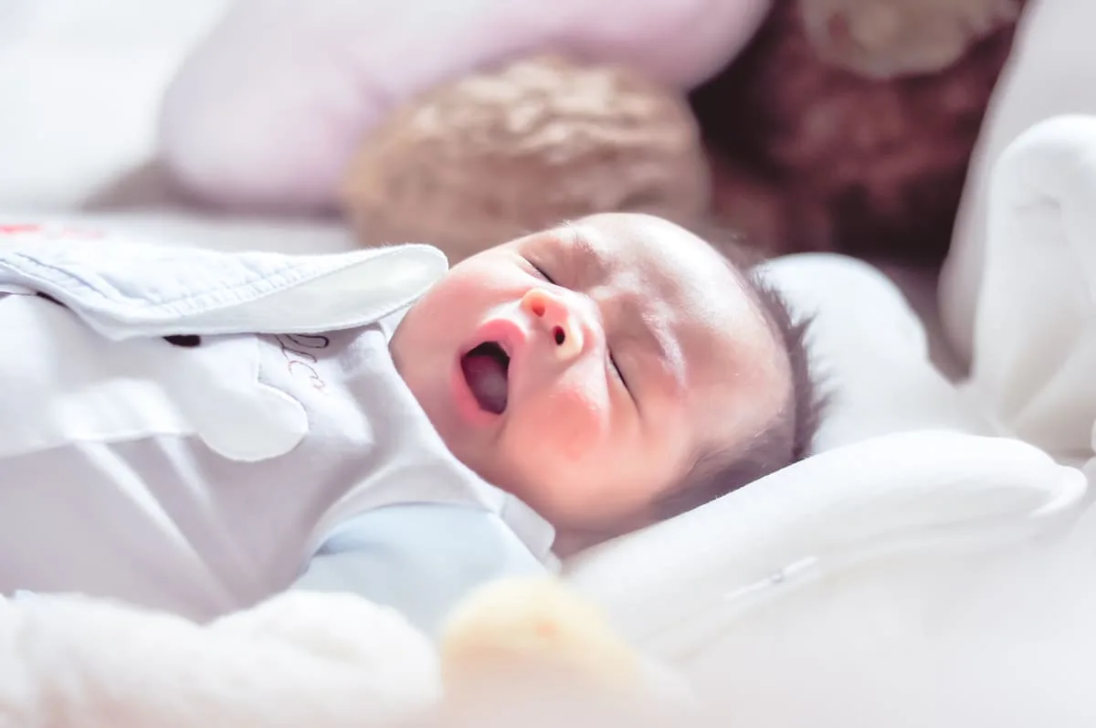 Aqiqah Saat Dewasa